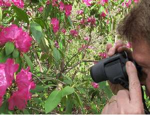 Product Review: Pentax Papilio 8.5 x 21 Binoculars